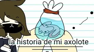 ✨La historia de mi ajolote :3✨🇪🇨