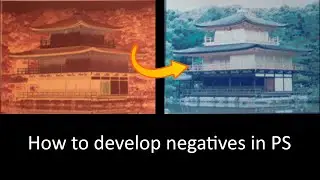 How to develop a negative in Photoshop?