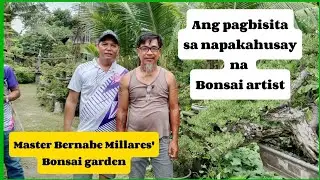 WBBC BONSAI GARDEN VISIT #183 - At Master Bernabe Millares' Bonsai garden