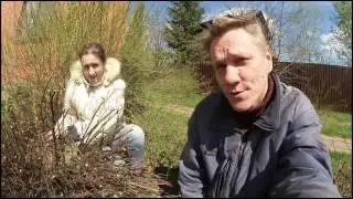 Открываем дачный сезон / Дача 2017 / Ватрушки и пирожки на даче