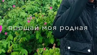молодой и глупый в голове туман🖖🏻