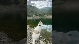 Собачий хайкинг в горах Кыргызстана🇰🇬⛰️