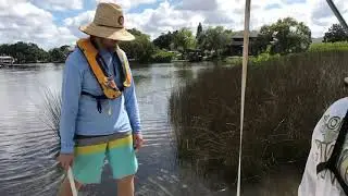 FWRI scientists stocked ~ 28,000 juvenile red drum into the Alafia River.