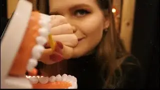 Asmr   | Your Dental Examintation RP