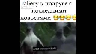 бегу к подругес последними новостями