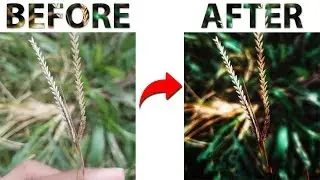Mindblowing Photo Editing With Snapseed ● Snapseed Edition 2019 ● Snapseed New Features 2019