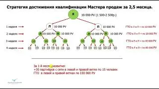 Стратегия достижения квалификации Мастера продаж за 2,5 месяца - рассказывает Людмила Селиванова.