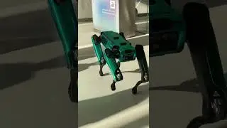 Have you seen a robot like this? #robot #museumofthefuture #airobots