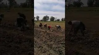 Эксплуататоры в деле
