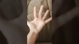 би би би