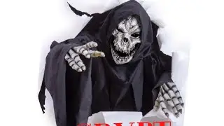 Live Or Alive? LET’s CHAT!