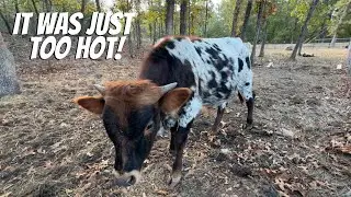 He DIDN’T Make It!