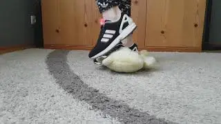 Trample teddy bear with Adidas ZX Flux crush fetish ASMR  