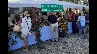XIII MIĘDZYNARODOWY FESTIWAL DERENIA - ARBORETUM BOLESTRASZYCE 2024