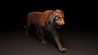 Animation showreel-2016