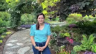 Plants to Give or Enjoy on Father's Day!