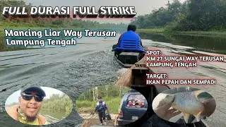 FULL DURASI FULL STRIKE _ MANCING LIAR WAY TERUSAN LAMPUNG TENGAH #fishing #memancing #fyp
