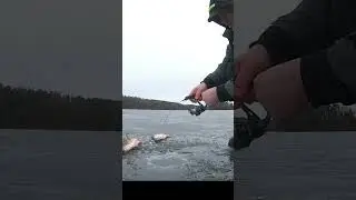 Кіло+