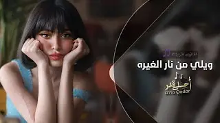 ويلي من نار الغيره | اغاني تيك توك 2024 | مطلوبه اكثر شي .