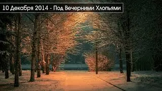 2014-12-10 Под Вечерними Хлопьями