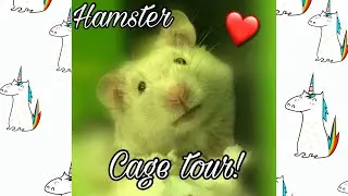 Hamster Cage Tour!