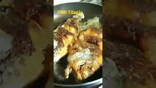 fish Tilapia Farm