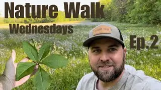 Nature Walk Wednesday | Ep.2 | Limestone Escarpment