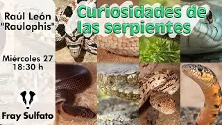 Directo. Curiosidades de las SERPIENTES 🐍 Con Raúl León (Raulophis)