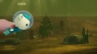 The Octonauts Special   The Octonauts and the Amazon Adventure