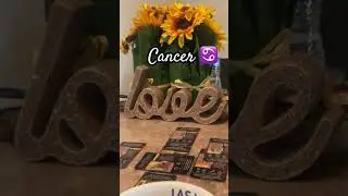 Cancer Did You Make the Right Choice in Love?