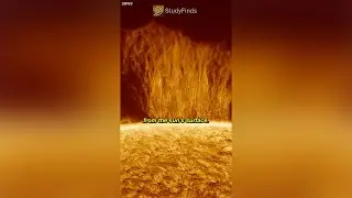 Wall of Plasma