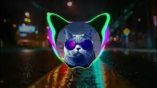 Tzanca Uraganu-De când sa scumpit benzina(Bass boosted)(Maneletech)