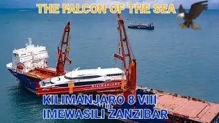 KILIMANJARO 8 -FALCON OF THE SEA