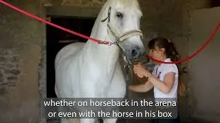 User testimonial: attach the watch to the halter and film free horses