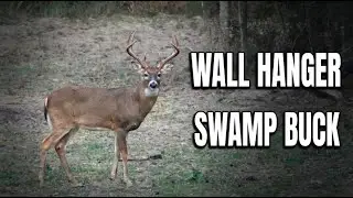 We Hunted This Southeast Texas Swamp Buck for Weeks