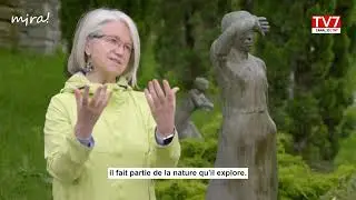 Mira | L'art dans la Nature