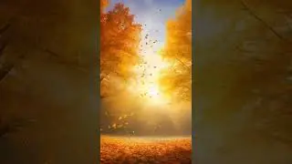 Жёлтая осень. Дмитрий Фомин #shorts #short #viral #video #music #popular #осень #shortvideo #love