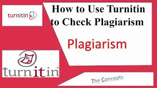 How to Use Turnitin to Check Plagiarism