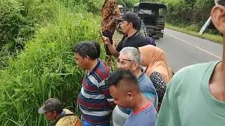 MOBIL TRUK MASUK JURANG😨 #lintassumatra #palakcurup #lintasbengkulu