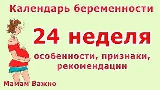24 неделя беременности: изменения, особенности, рекомендации