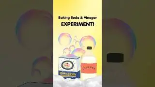 Baking Soda & Vinegar Experiment! POP QUIZ at the END #experiment