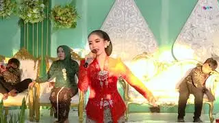 Podang Kuning - Reni Olivia