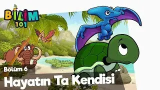 Hayatın Ta Kendisi 🌿 EVRİM TEORİSİ BELGESELİ 🌎 Bilim 101