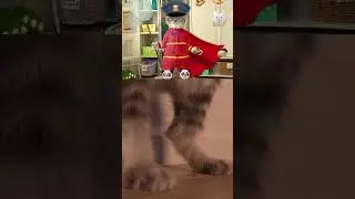 CUTE LITTLE KITTEN SCHOOL ADVENTURE 😹 🐾🐭   #kitten #funnycats