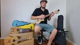 Persian Ukulele Demo - Pineapple Soprano, Concert and Tenor Ukuleles UKSP-Zebra UKC-Zebra UKTC-Zebra
