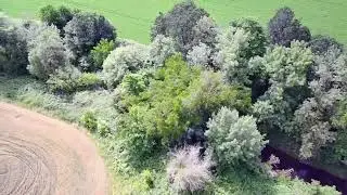 GALES CREEK Flyover