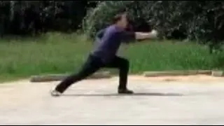 Long Fist Kung Fu Form - Wu Bu Quan