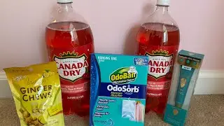 New Dollar Tree Haul