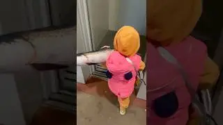 Лифт такого не ожидал. Автор видео: @d0984048t0c  