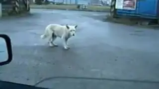 Между нами тает лёд..